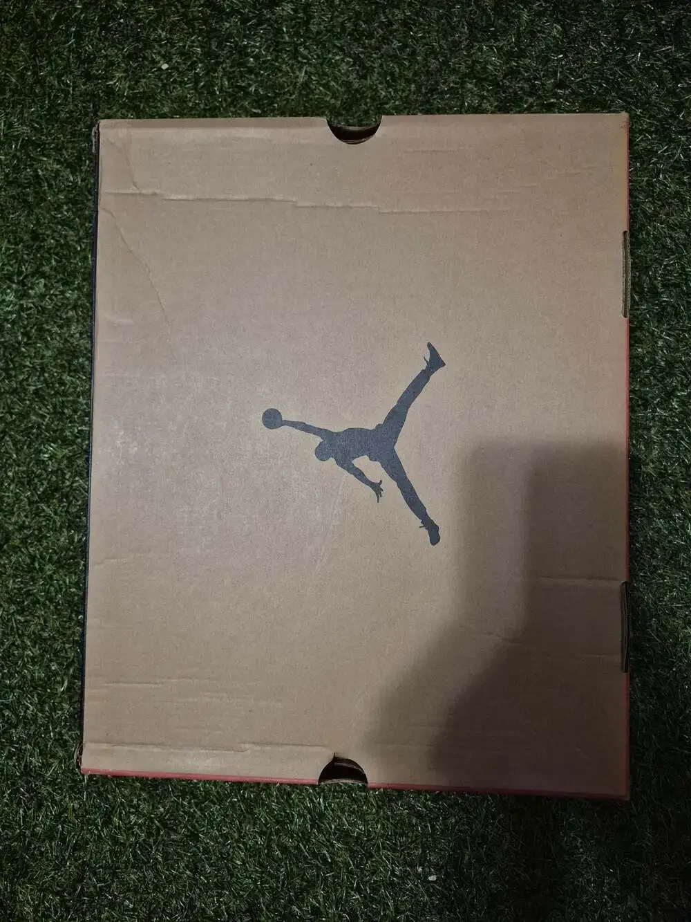 Jordan air 12